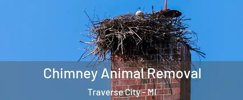  Chimney Animal Removal Traverse City - MI