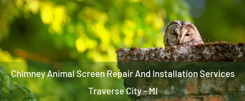 Chimney Animal Screen Repair And Installation Services Traverse City - MI