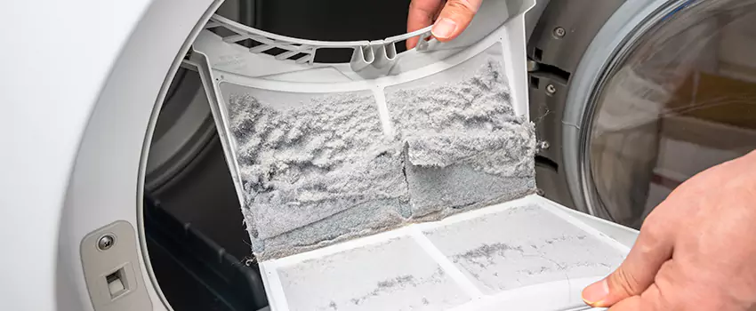 Best Dryer Lint Removal Company in Traverse City, Michigan