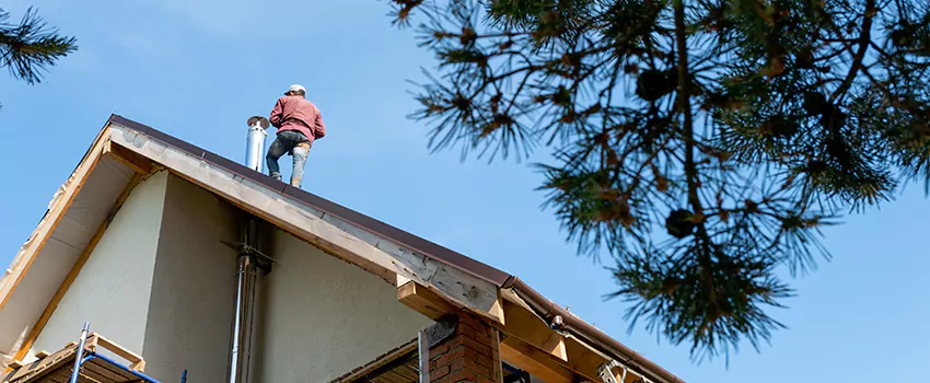 Birds Removal Contractors from Chimney in Traverse City, MI