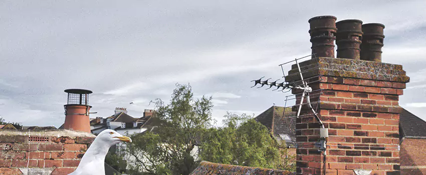 Chimney Cleaning And Restoration in Traverse City, Michigan