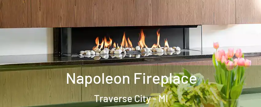  Napoleon Fireplace Traverse City - MI